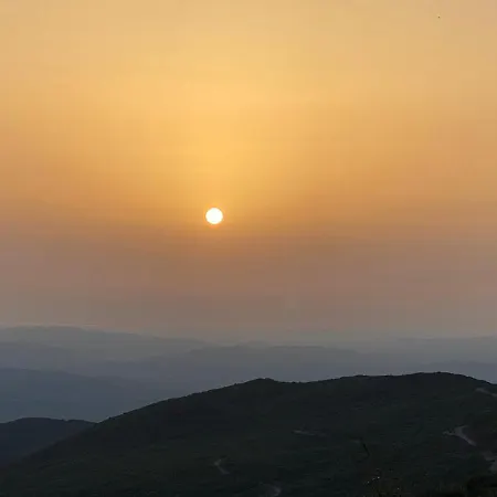 Ortansia Dimitsana
