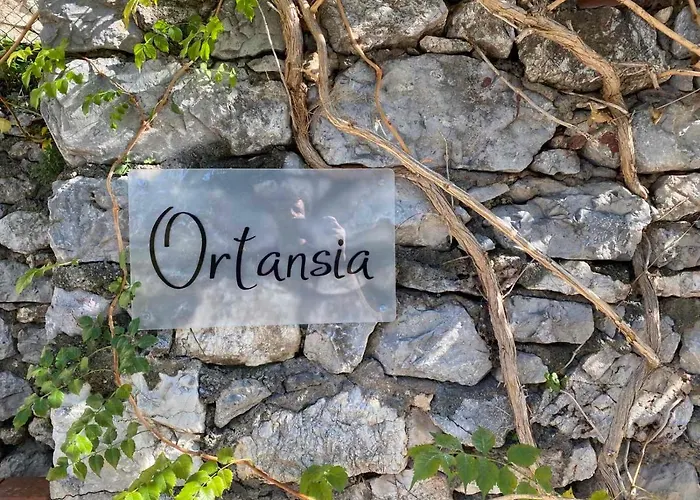 Apartmán Ortansia *