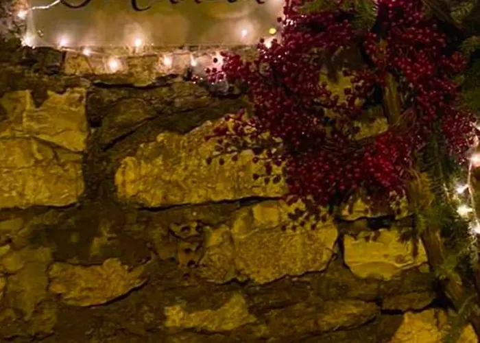 Ortansia * Dimicána